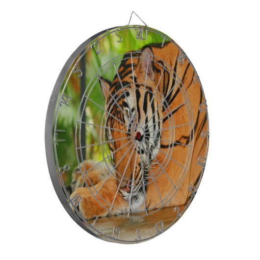 Schlaftiger Dartscheibe (Vorderseite Links)