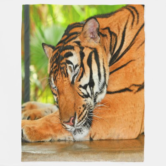 Schlaftiger Fleecedecke (Vorderseite)