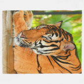 Schlaftiger Fleecedecke (Vorderseite (Horizontal))