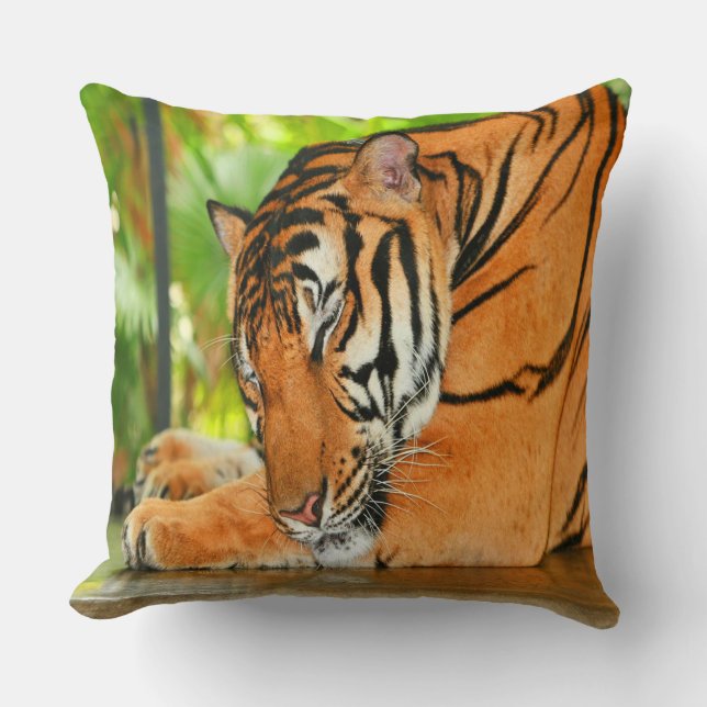 Schlaftiger Kissen (Vorderseite)