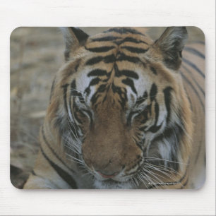 Schlaftiger Mousepad