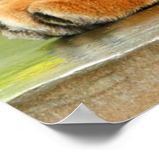 Schlaftiger Poster (Ecke)