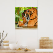 Schlaftiger Poster (Küche)