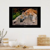 Schlaftiger Poster (Küche)