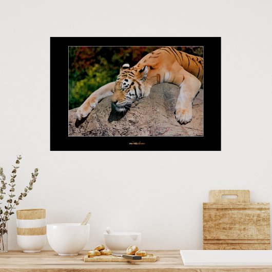 Schlaftiger Poster (Küche)