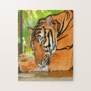 Schlaftiger Puzzle