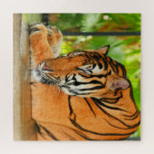 Schlaftiger Puzzle (Horizontal)
