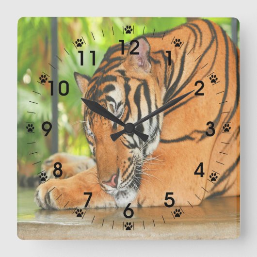 Schlaftiger Quadratische Wanduhr (Vorderseite)