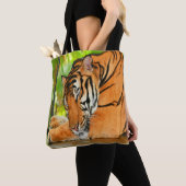 Schlaftiger Tasche (Von Nahem)