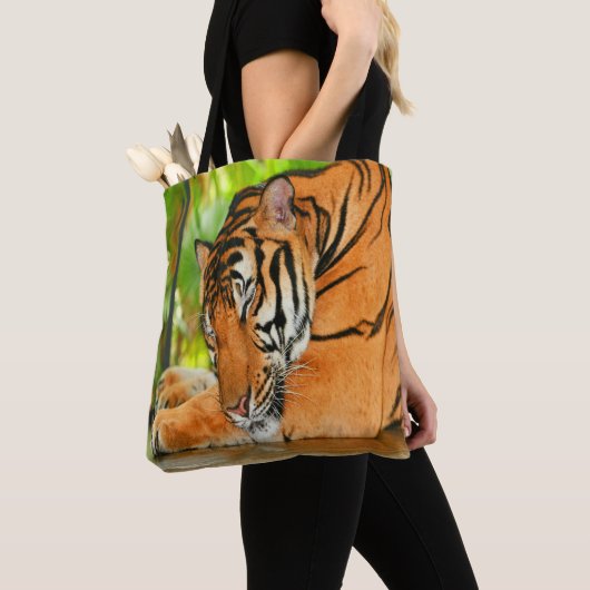 Schlaftiger Tasche (Von Nahem)