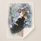 Schlafwalisischer Corgi Sherpadecke (Vorderseite)