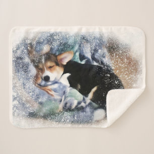 Schlafwalisischer Corgi Sherpadecke