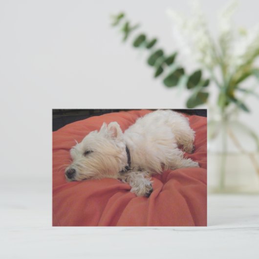 Schlafwestie Foto Postkarte (Stehend Vorderseite)