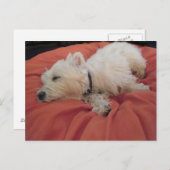 Schlafwestie Foto Postkarte (Vorne/Hinten)