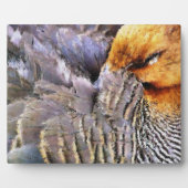 SCHLAFZAUBER FOTOPLATTE (Vorderseite)