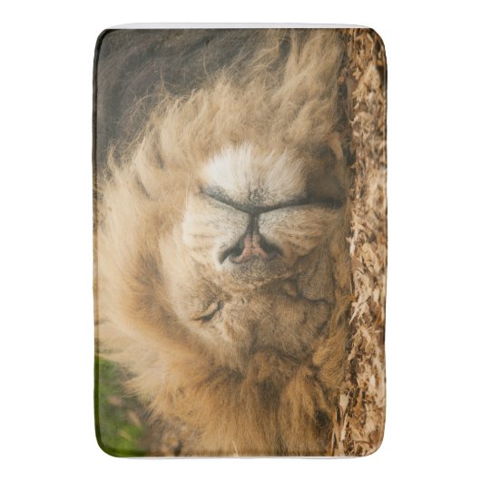 Schlafzimmertür, Bad, Zuhause-Rug oder Matte (Vorderseite Vertikal)