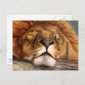 Schlafzwiebel Postkarte (Vorne/Hinten)