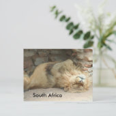 Schlafzwiebel Postkarte (Stehend Vorderseite)