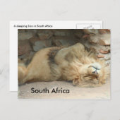 Schlafzwiebel Postkarte (Vorne/Hinten)