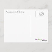 Schlafzwiebel Postkarte (Rückseite)