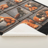 Schlag Baby Affe Sherpadecke (3/4)