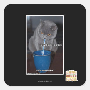 Schlag-Blasen in ur Milch Quadratischer Aufkleber