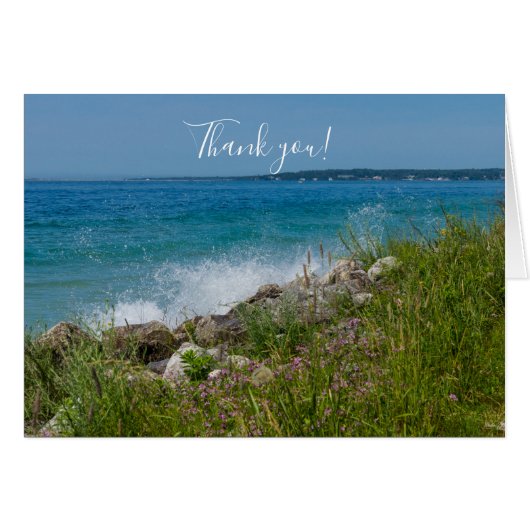 Schlag dich an Mackinac Dankeschön Card (Vorderseite (Horizontal))
