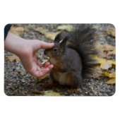 Schlag Magnet (Horizontal)