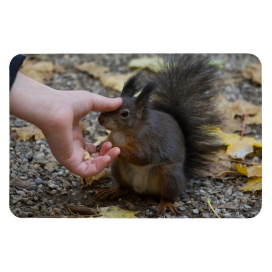 Schlag Magnet (Horizontal)