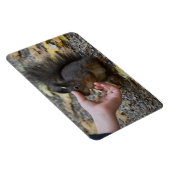 Schlag Magnet (Rechte Seite)