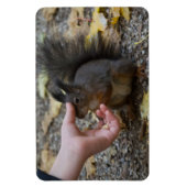 Schlag Magnet (Vertikal)