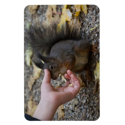 Schlag Magnet (Vertikal)