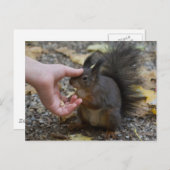 Schlag Postkarte (Vorne/Hinten)