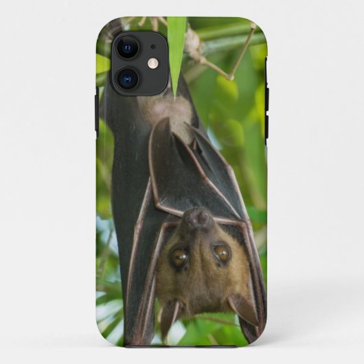 Schläger Case-Mate iPhone Hülle (Rückseite)