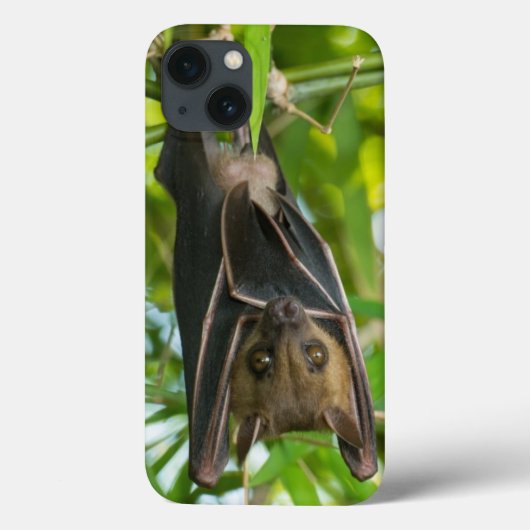 Schläger Case-Mate iPhone Hülle (Rückseite)