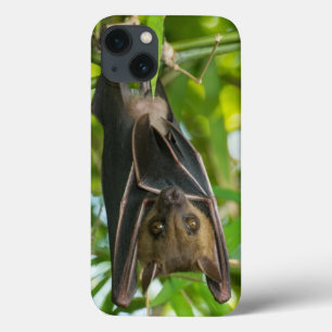 Schläger Case-Mate iPhone Hülle