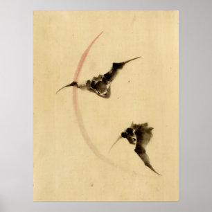 Schläger, die 1840 fliegen poster