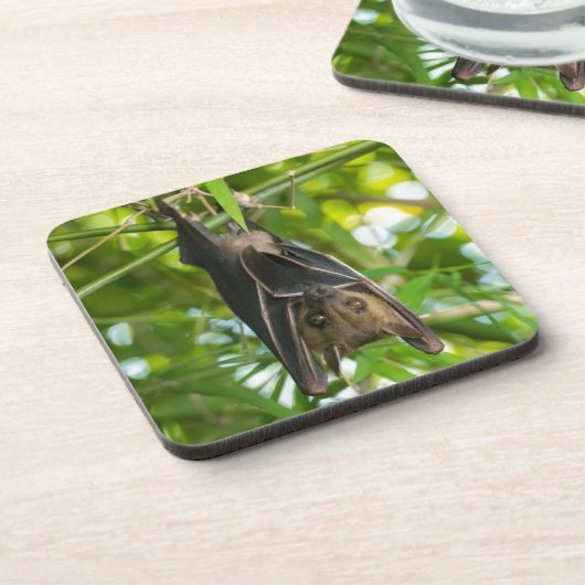 Schläger Getränkeuntersetzer (Linke Seite)