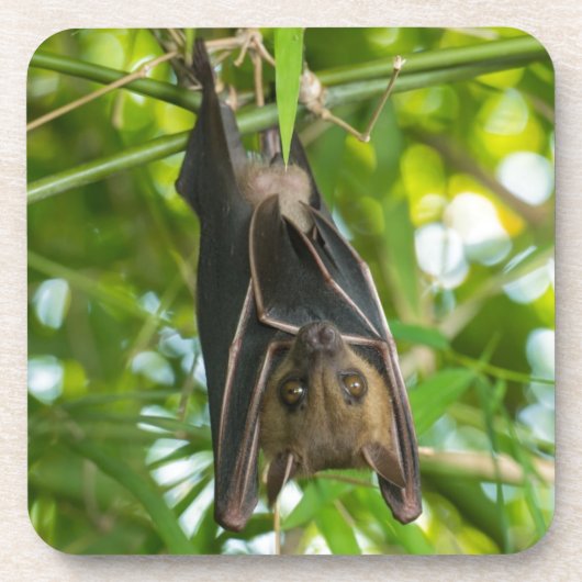 Schläger Getränkeuntersetzer (Vorderseite)