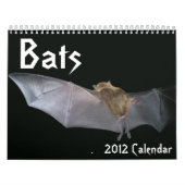 Schläger-Kalender Kalender (Titelbild)