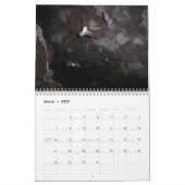 Schläger-Kalender Kalender (Mär 2027)