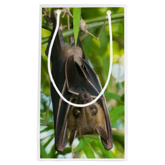 Schläger Kleine Geschenktüte (Vorderseite)