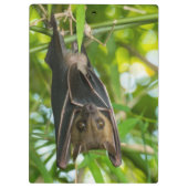 Schläger Klemmbrett (Rückseite)