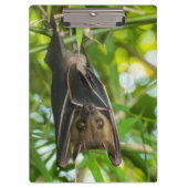 Schläger Klemmbrett (Vorderseite)