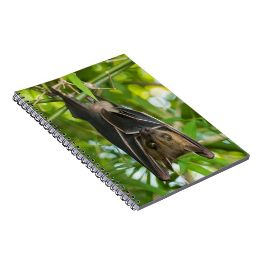 Schläger Notizblock (Rechte Seite)