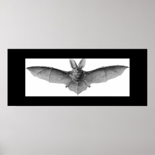 SCHLÄGER-PLAKAT POSTER