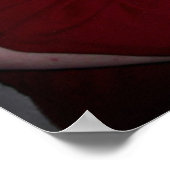 Schläger Poster (Ecke)