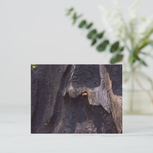 Schläger Postkarte (Stehend Vorderseite)