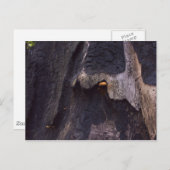 Schläger Postkarte (Vorne/Hinten)