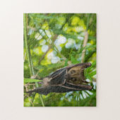 Schläger Puzzle (Vertikal)